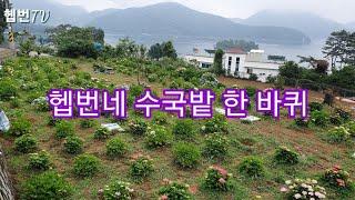  Hepburn's garden  헵번네 수국밭 한 바퀴 