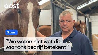 Manegehouder Dennis vreest gestreste paarden door straaljagers | Oost