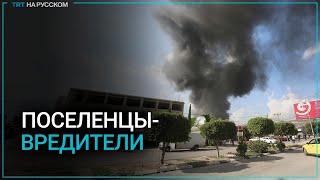 Еврейские поселенцы напали на палестинские дома и автомобили на Западном Берегу