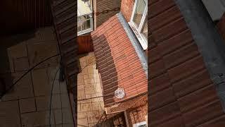 Satisfying Red Roof Clean #jetwashing #roofwashing #satisfying #exteriorclean