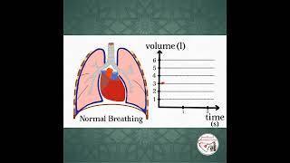 🫁 WHAT IS TIDAL VOLUME ??  #medicine #respiratoryphysiology #pediatrics