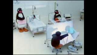 Pingu's Hospital Visit- Pingu Official Channel