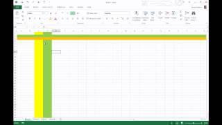 Excel Basics