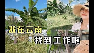 旅居云南小村子，我找到工作了，看看我一天都干了啥