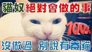 【豆漿 - SoybeanMilk】貓奴必做！！　怎麼玩都玩不膩的事！！