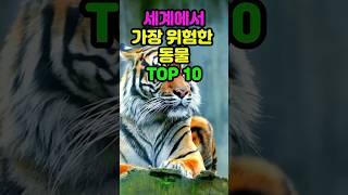 세계에서 가장 위험한 동물 Top 10 #shorts