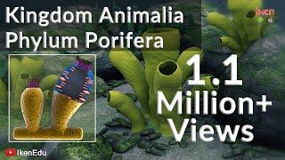 Learn Biology: Kingdom Animalia: Phylum Porifera |iKen | iKen Edu | iKen App