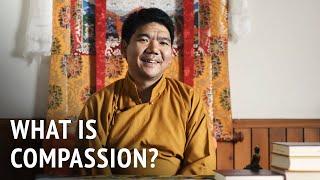 What is Compassion? | Serkong Rinpoche