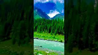 #awesome nature #nature ke diwane #stress free songs