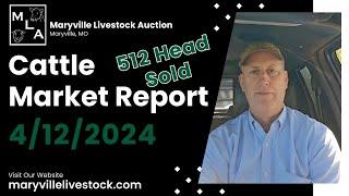 4/12/2024 Cattle Market Report