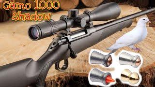 Gamo 1000 shadow | Spain Airgun | Review Urdu/Hindi #Gamo #airgun