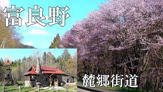 麓郷街道桜並木と五郎の石の家　【北海道 富良野 麓郷】４Ｋ