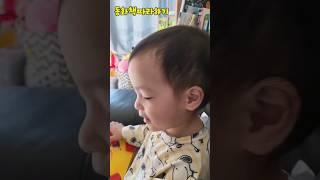 #이열따라하는아기#구연동화책#twins #19개월(240502) #shorts