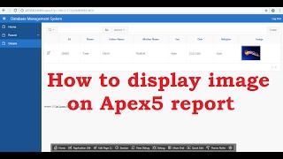 How to display image on Report | Apex5