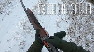 Ну, заяц погоди...