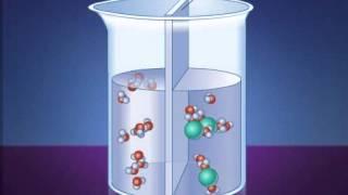 How Osmosis Works