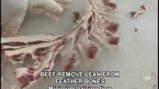 BeefFeatherBones.wmv