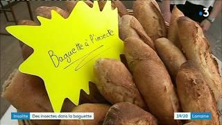 Nancy : l'essor de la baguette aux insectes