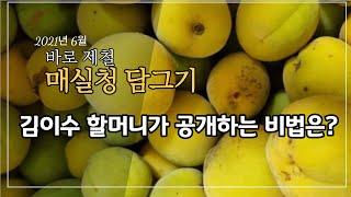 2021년 매실청 담그는 비법 전수ㅣ건강한 매실청  만드는 방법 ㅣ매실청 만드는 꿀팁 ㅣ간단하고 쉬운 매실청 만들기