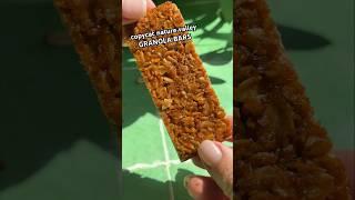 I re-engineered Nature Valley Granola Bars 