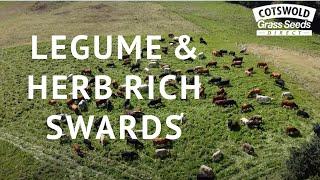 Legume & Herb Rich Swards with Stuart Johnson: Soil Farmer of the Year