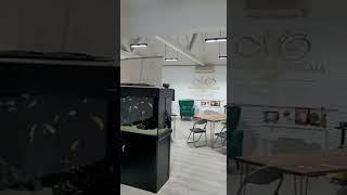 Classroom Available for Rent in London