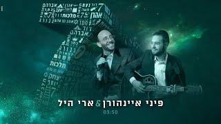 פיני איינהורן & ארי היל - 7 - Pini Einhorn & Ari Hill