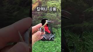 컬렉타 공룡 피규어 #공룡#피규어#컬렉타피규어