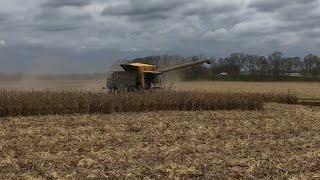 Massive Cab Corn! Huge pile of corn and broken equipment