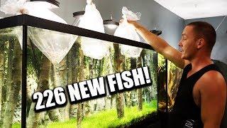 UNBOXING 226 AQUARIUM FISH!!