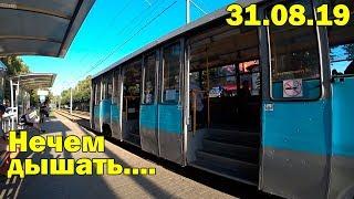 На ПМЖ в Краснодар: мне тяжело переносить жару.  Минусы Краснодара
