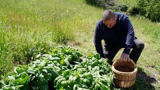 La vie des sols - Jardiniers  (Version courte)