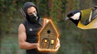 Build Most Amazing Bird House