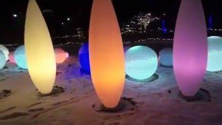 Winter Light Garden at Phipps Conservatory