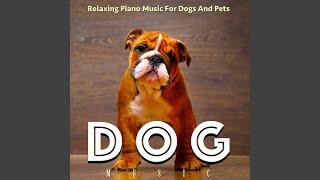 Dog Music (Pet Oasis)