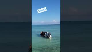 Shipwreck in the Florida Keys #fyp #shipwreck #foryou