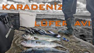 Karadeniz 'in Efsaneleri Kaldığı Yerden Devam Ediyor / Lüfer Avı / Sabah Suyu Balık Avı