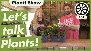 Let's Talk Plants! PLANTPOP's Plant Show, Episode 1