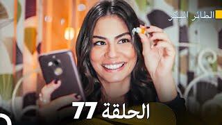 مسلسل الطائر المبكر الحلقة 77 (Arabic Dubbed) - FULL HD