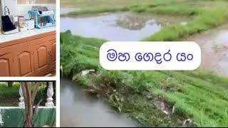 අම්මාගේ ගෙදර  බලන්න යං #මහගෙදර#தாய்வீடு#vlog#youtube 