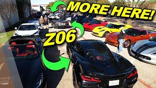 250+ Corvettes in ONE SPOT! 1st Car Show of 2024! So many C8 Z06s!