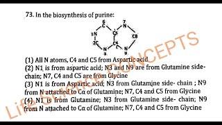 Life Science Concepts: PART - 1 NUCLEOTIDE METABOLISM WITH CSIR  DECEMBER 2016 MCQ