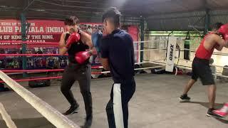 Technical Sparring Session with a long reach southpaw boxer | amateur Boxing | reyal for u