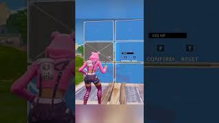 I Tried My Hardest 