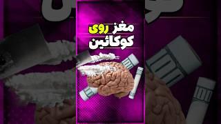 کوکائین دقیقا با مغز و بدن چیکار می‌کنه ؟️