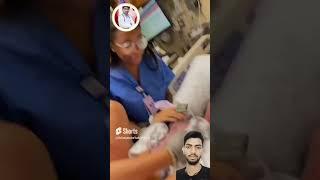 mother painful delivery newborn twins baby ! pain can't explain #shorts #ytshorts #trending #mbbs