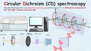 Circular Dichroism spectroscopy in 4 minutes