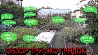 Обзор Три Эко Грядок, умные грядки в действии #ТриЭкоОгород