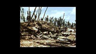 With the Marines at Tarawa (1944) - Academy Award Winning Documentary #152