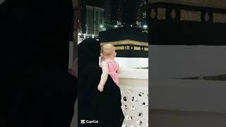 Naat- Haal e Dil - Zohaib Ashrafi - Video )SHARE This Beautiful "Naat") Subscribe Our channel